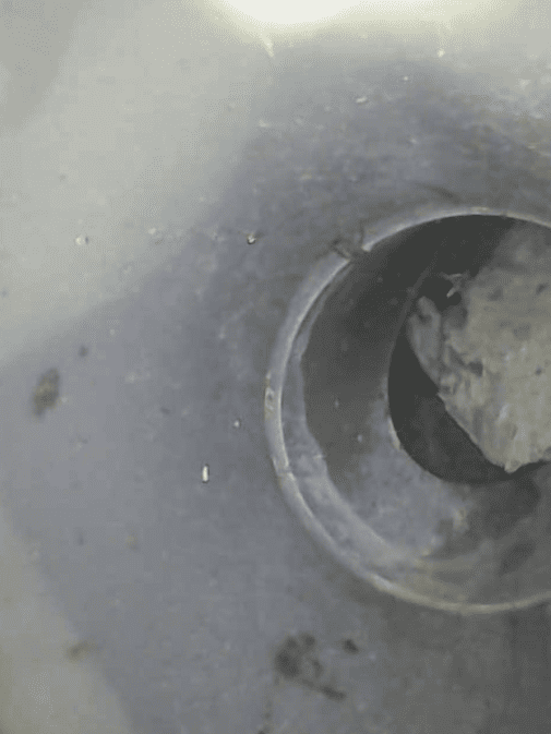 宜蘭縣院里來聚心華廈驗屋 - 露臺洗衣機排水管內髒汙